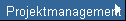 Projektmanagement