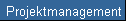 Projektmanagement